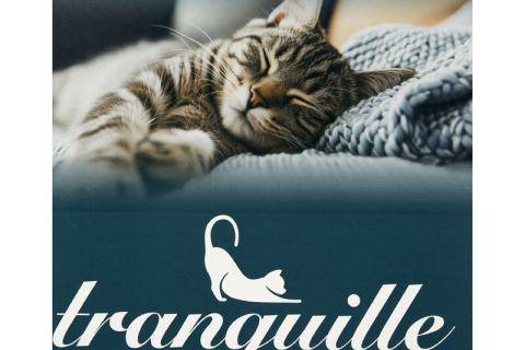 Illustration du projet Services de pré-presse pour Litière Tranquille avec DS Smith