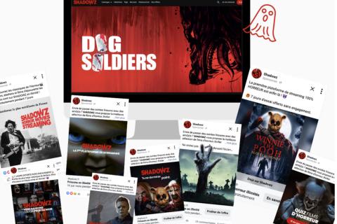 Illustration du projet Campagne social Ads pour chaîne VOD streaming