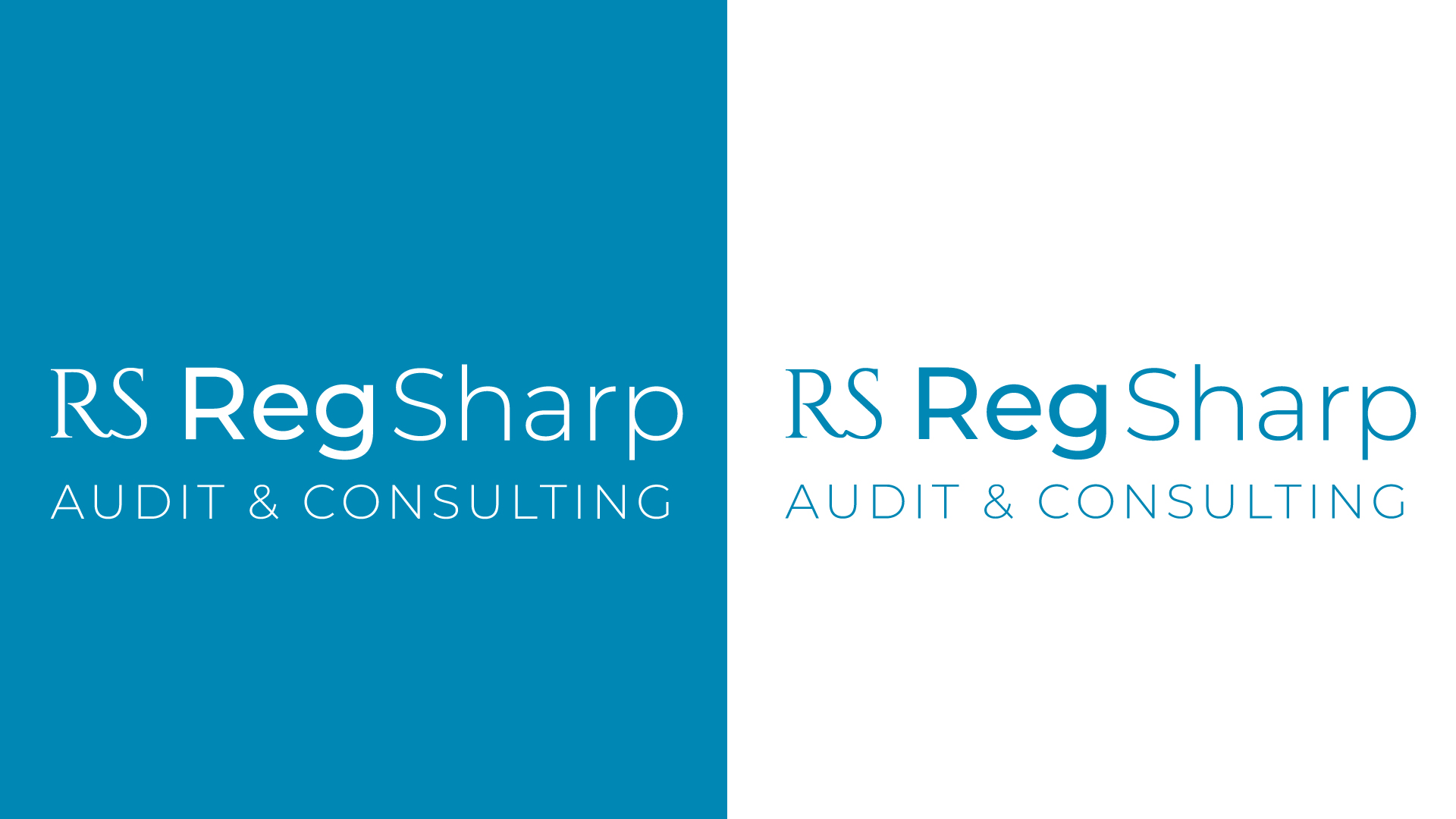 Illustration du projet Branding & Développement du site web pour RegSharp Audit & Consulting