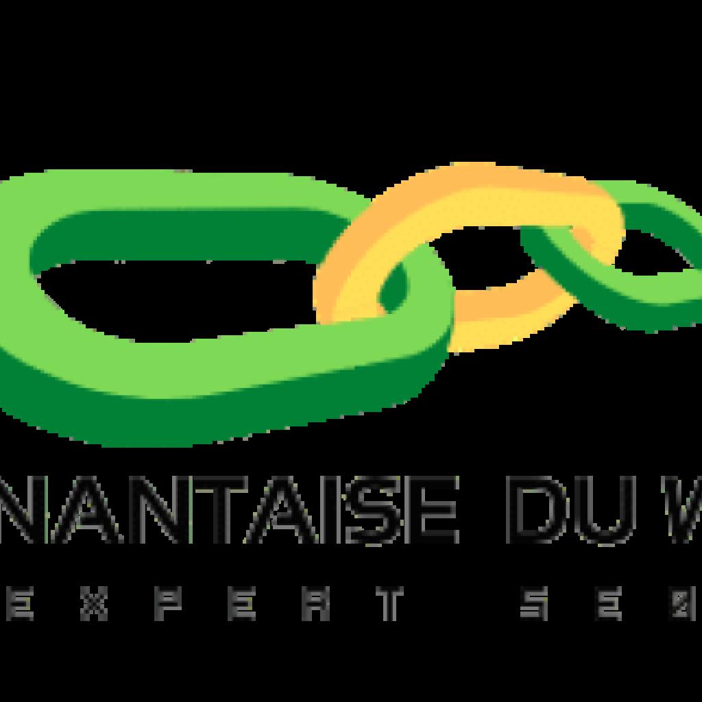 Logo agence La Nantaise du Web