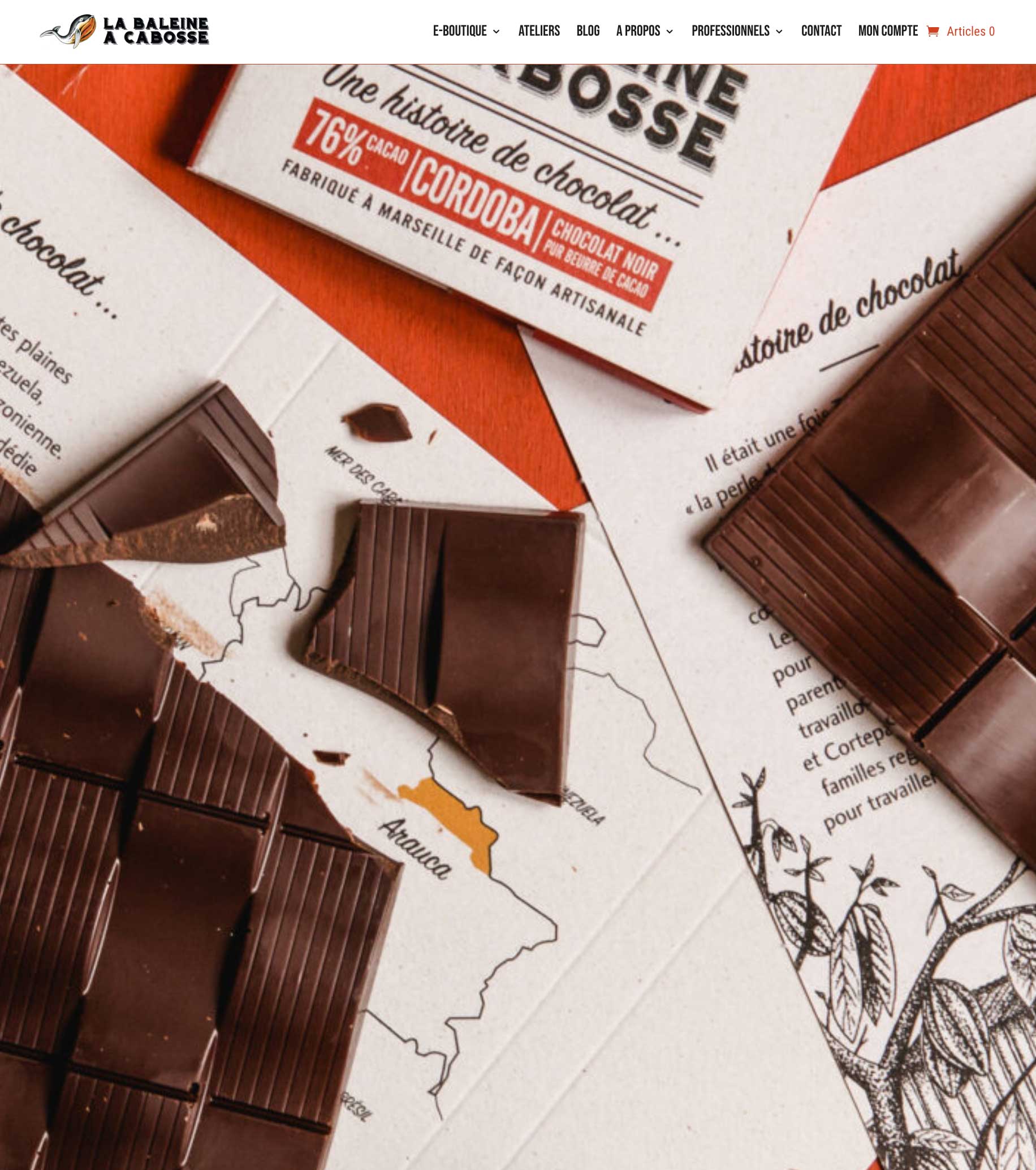 Illustration du projet Migration et amélioration du site e-commerce La Baleine à Cabosse