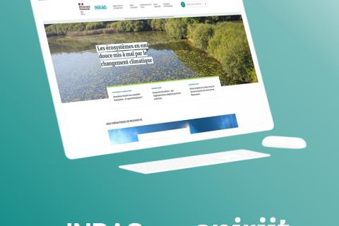 Illustration du projet Migration technique du dispositif digital de l'institut