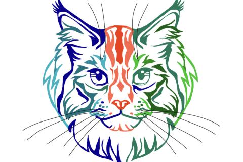 Illustration du projet Site vitrine Chatterie du Royaume de Valha