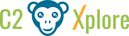 Illustration du projet Infographie C2 Explorer