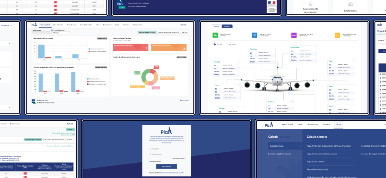 Illustration du projet Application web de gestion des collisions avions / animaux