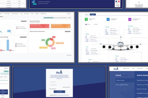 Illustration du projet Application web de gestion des collisions avions / animaux