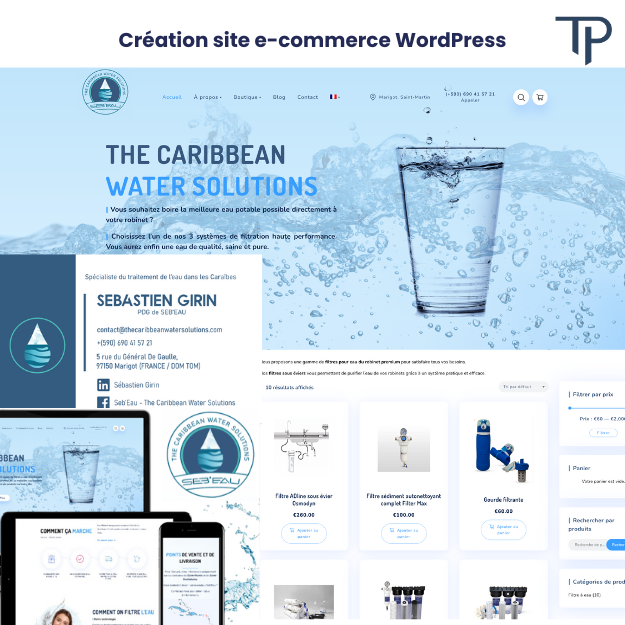 Illustration du projet Site E-Commerce + Branding + SEO