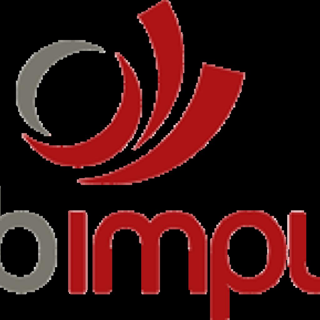 Logo WEB IMPULSE