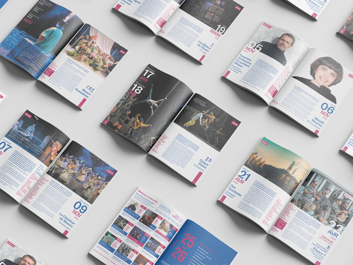 Illustration du projet Réalisation des supports de saison du Pin Galant