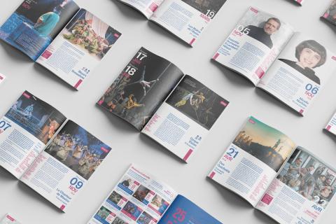 Illustration du projet Réalisation des supports de saison du Pin Galant