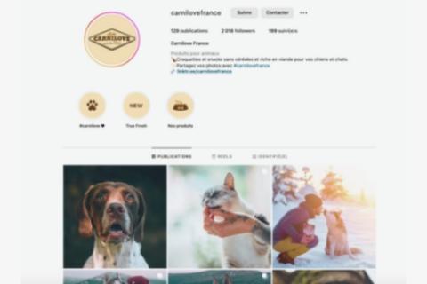 Illustration du projet Une communication qui a du chien !