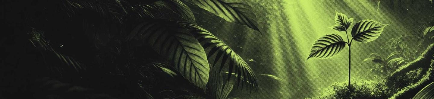 Couverture de l'agence Epifyt