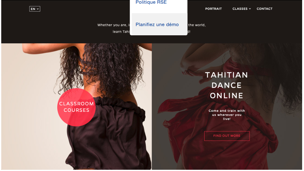 Illustration du projet Création d'une plateforme de cours en ligne et d'un site web pour l'école de danse tahitienne de Tahia Cambet