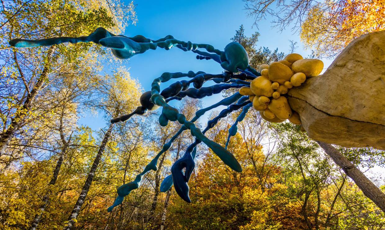 Illustration du projet Un écosystème digital au service d’un parc artistique unique - Le Vallon du Villaret