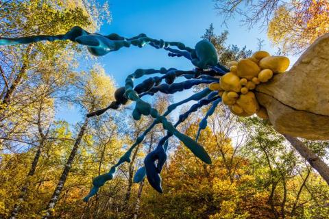 Illustration du projet Un écosystème digital au service d’un parc artistique unique - Le Vallon du Villaret