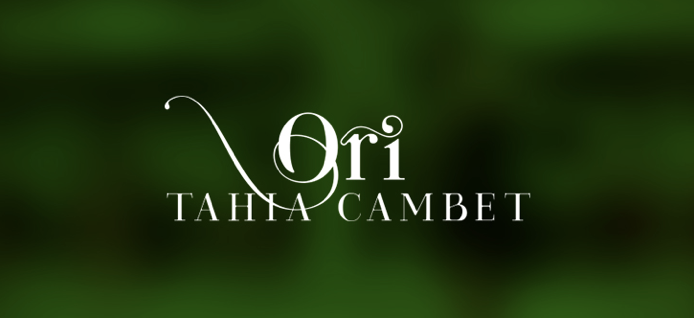 Illustration du projet Création d'une plateforme de cours en ligne et d'un site web pour l'école de danse tahitienne de Tahia Cambet.