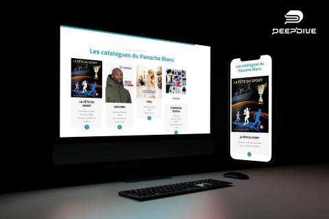 Illustration du projet Refonte du site du Panache Blanc