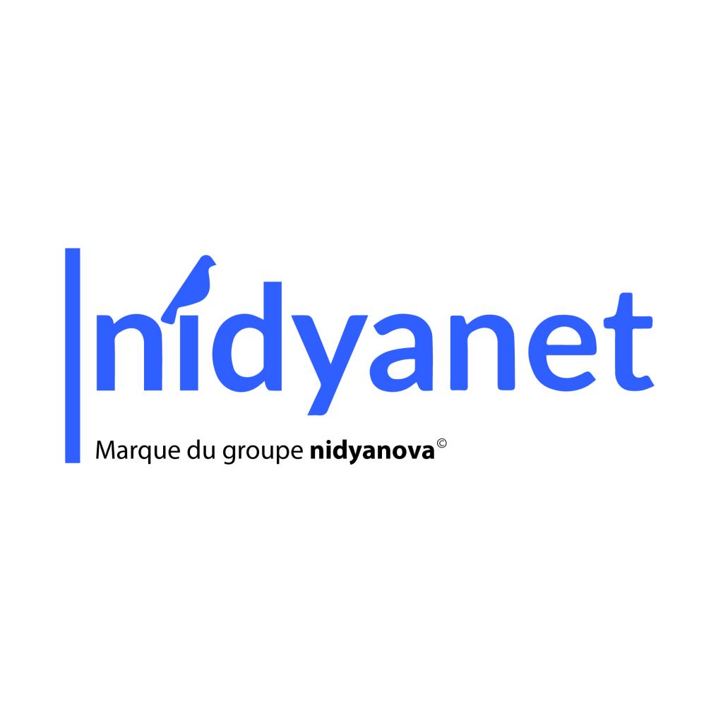 Logo agence nidyanet