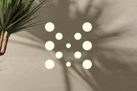 Création d’identité visuelle et de site internet