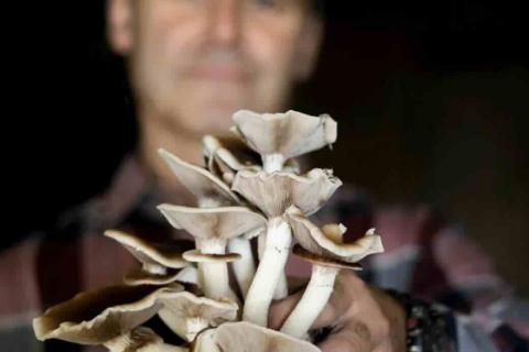 Illustration du projet Rosières - De la terre à l’esprit chef