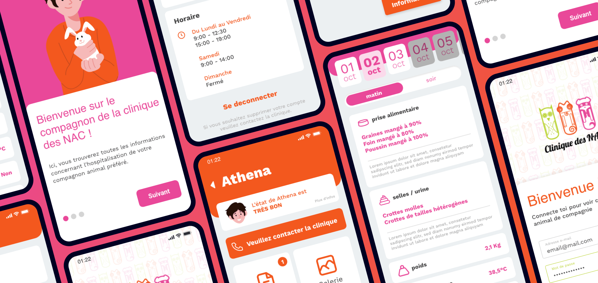 Illustration du projet Application de suivi de soins animalier