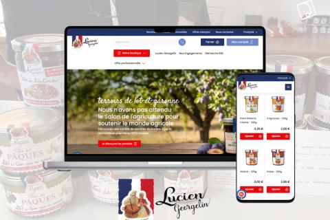 Illustration du projet Lucien Georgelin : refonte complète du site e-commerce