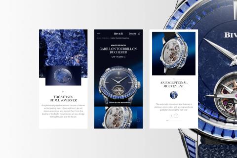 Illustration du projet Biver 2024