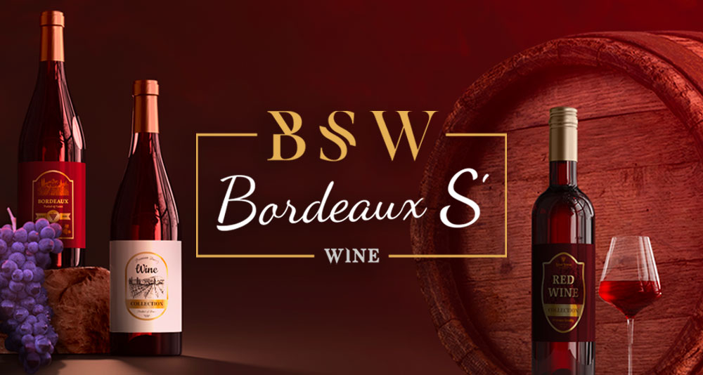 Illustration du projet Création d'un logo pour Bordeaux’ S Wine