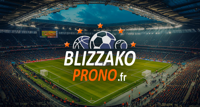 Illustration du projet Création d'un logo pour Blizzako Prono