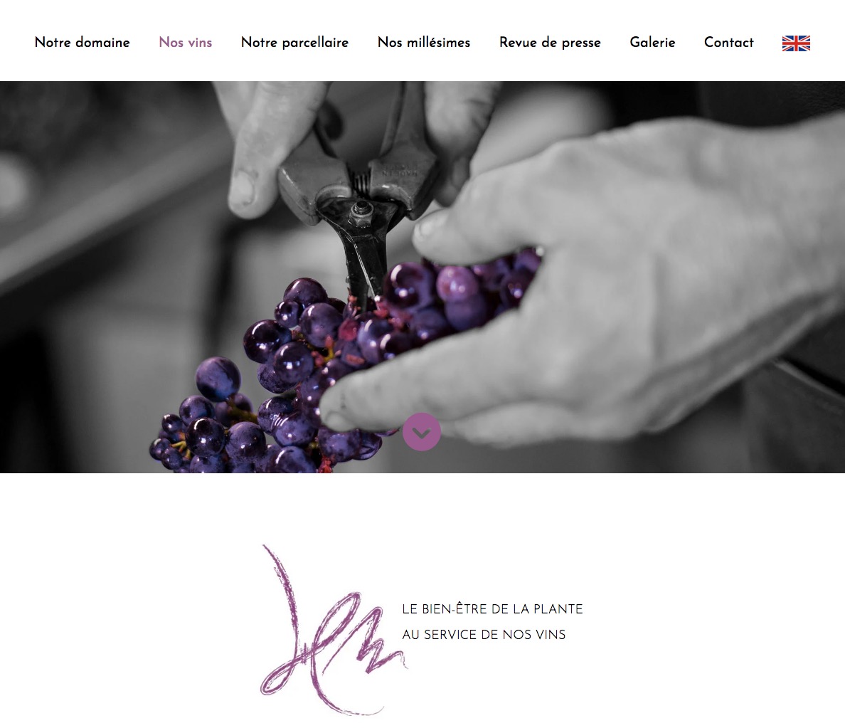 Illustration du projet Site internet vitrine pour le Domaine Heresztyn-Mazzini