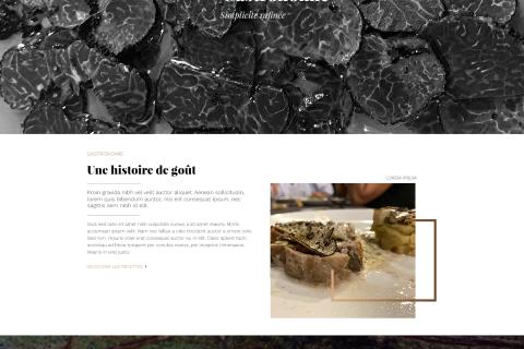 Illustration du projet Refonte du site e-commerce Ayme Truffe