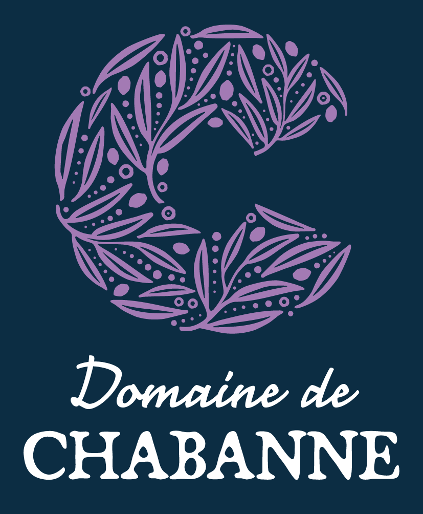 Illustration du projet Création du site internet du Domaine de Chabanne