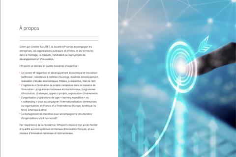 Illustration du projet Créer un site vitrine bilingue pour une experte en innovation territoriale et développement économique