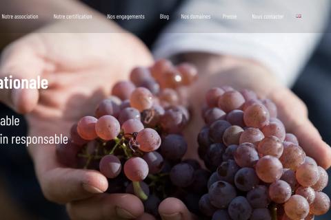 Illustration du projet Accompagnement SEO