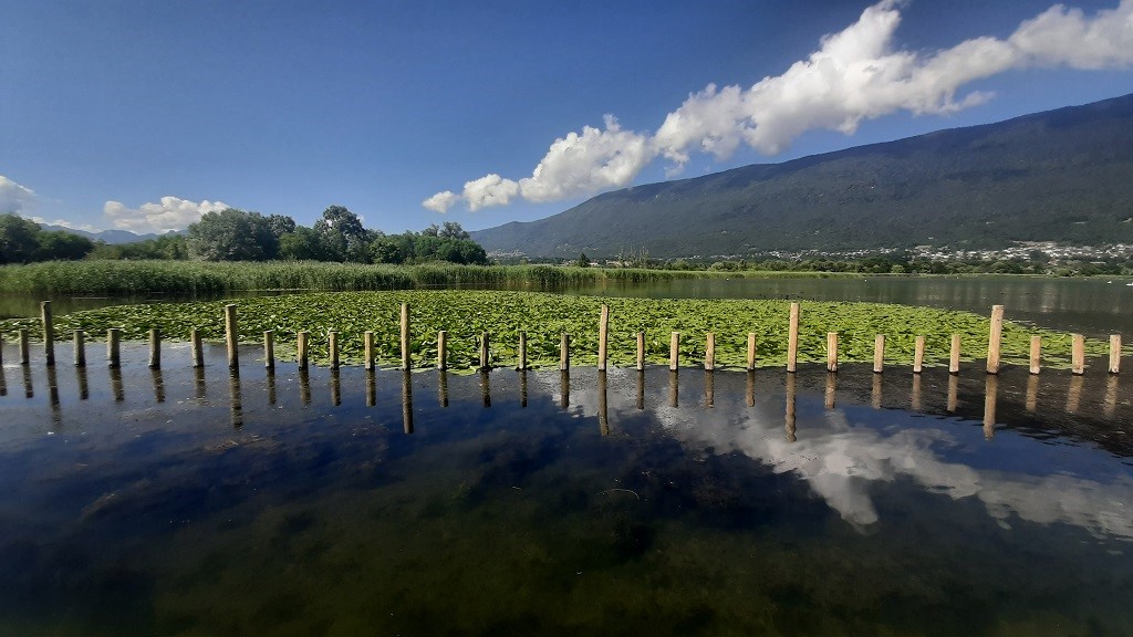 Illustration du projet Développement d’une plateforme de traitement de données hydrométéorologiques – Centralisation, transformation et export automatisé