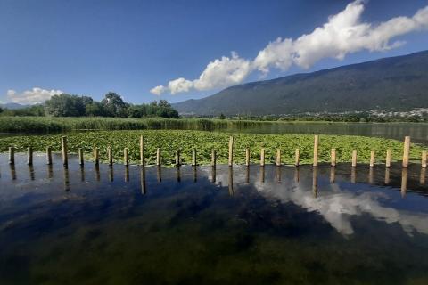 Illustration du projet Développement d’une plateforme de traitement de données hydrométéorologiques – Centralisation, transformation et export automatisé