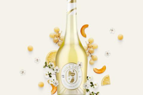 Illustration du projet Création du site e-commerce - Shopify