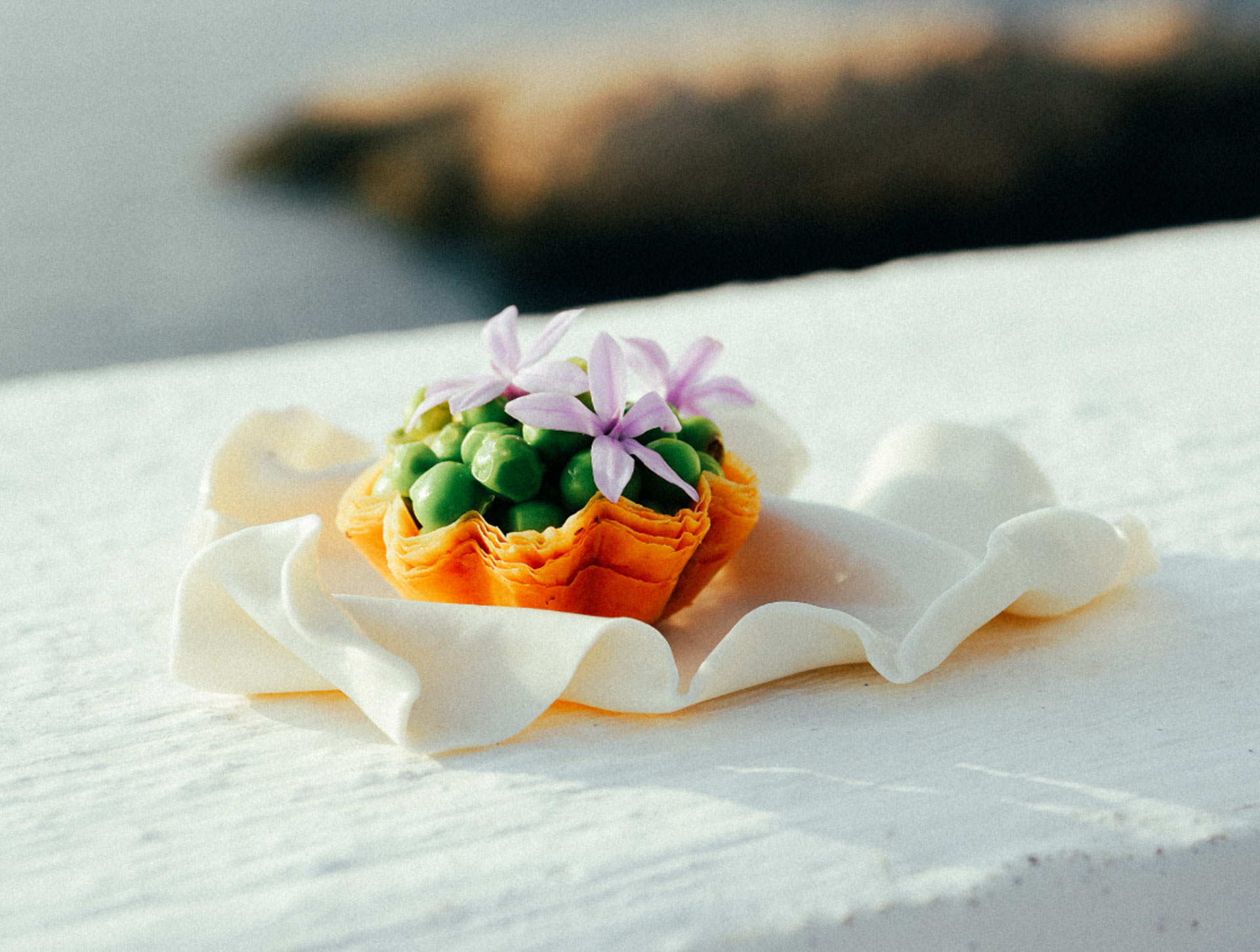 Illustration du projet Branding et site internet Webflow pour La Dame Bleue