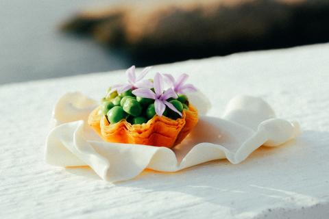 Branding et site internet Webflow pour La Dame Bleue