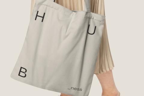 Conception d’une identité visuelle et d’un logotype pour l’agence Ness.