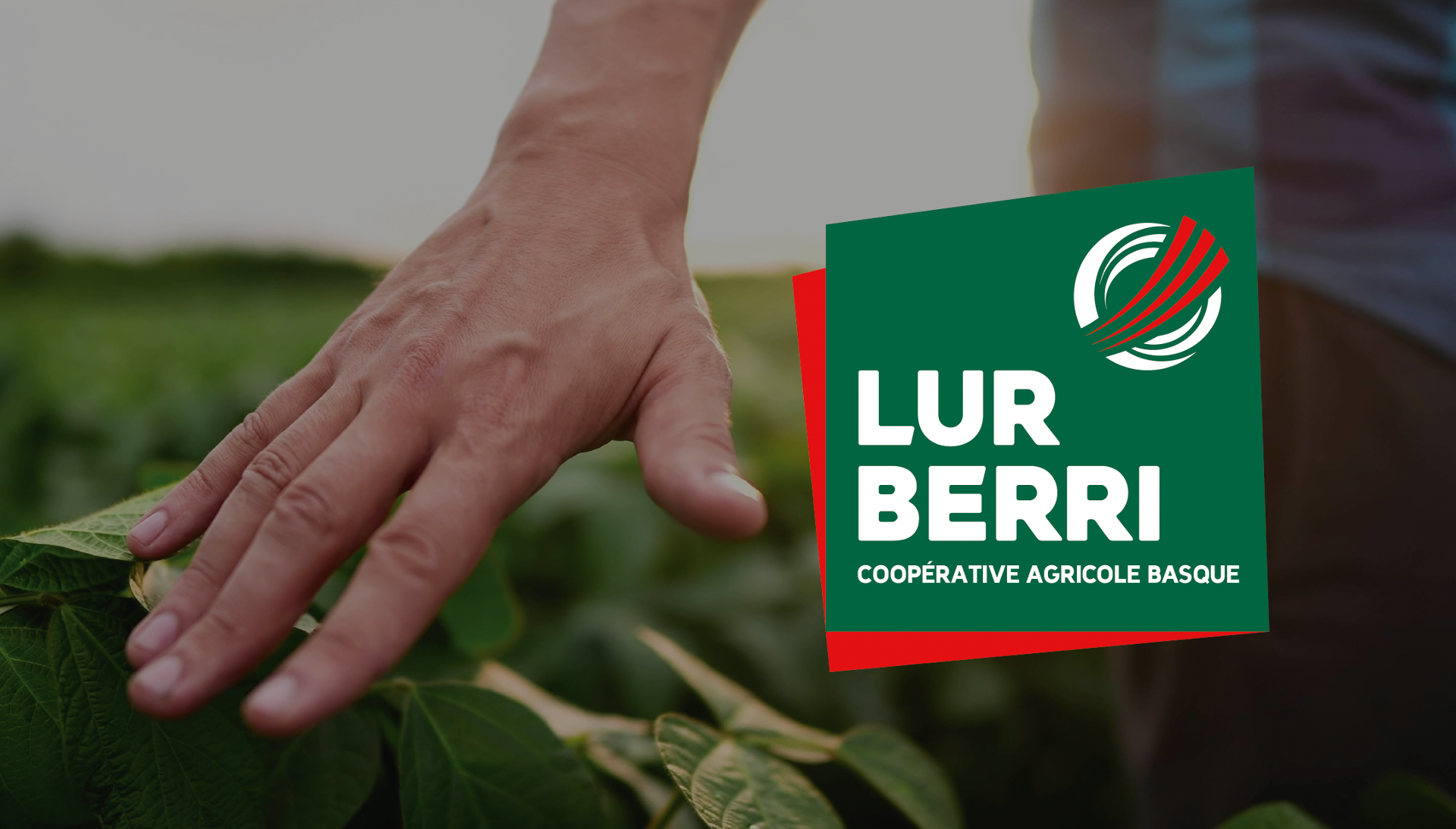Illustration du projet Lur Berri