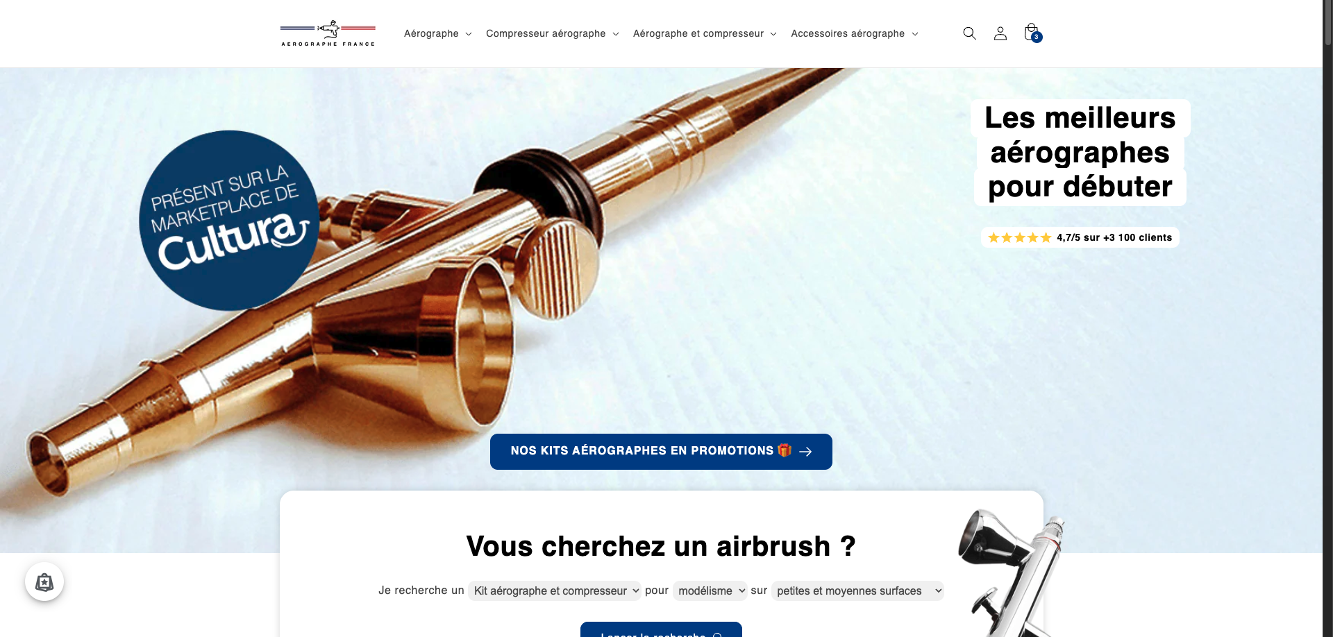 Illustration du projet Refonte SEO de la boutique Shopify