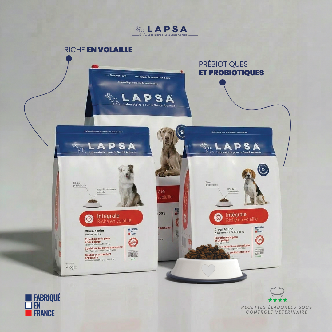 Illustration du projet Lapsa