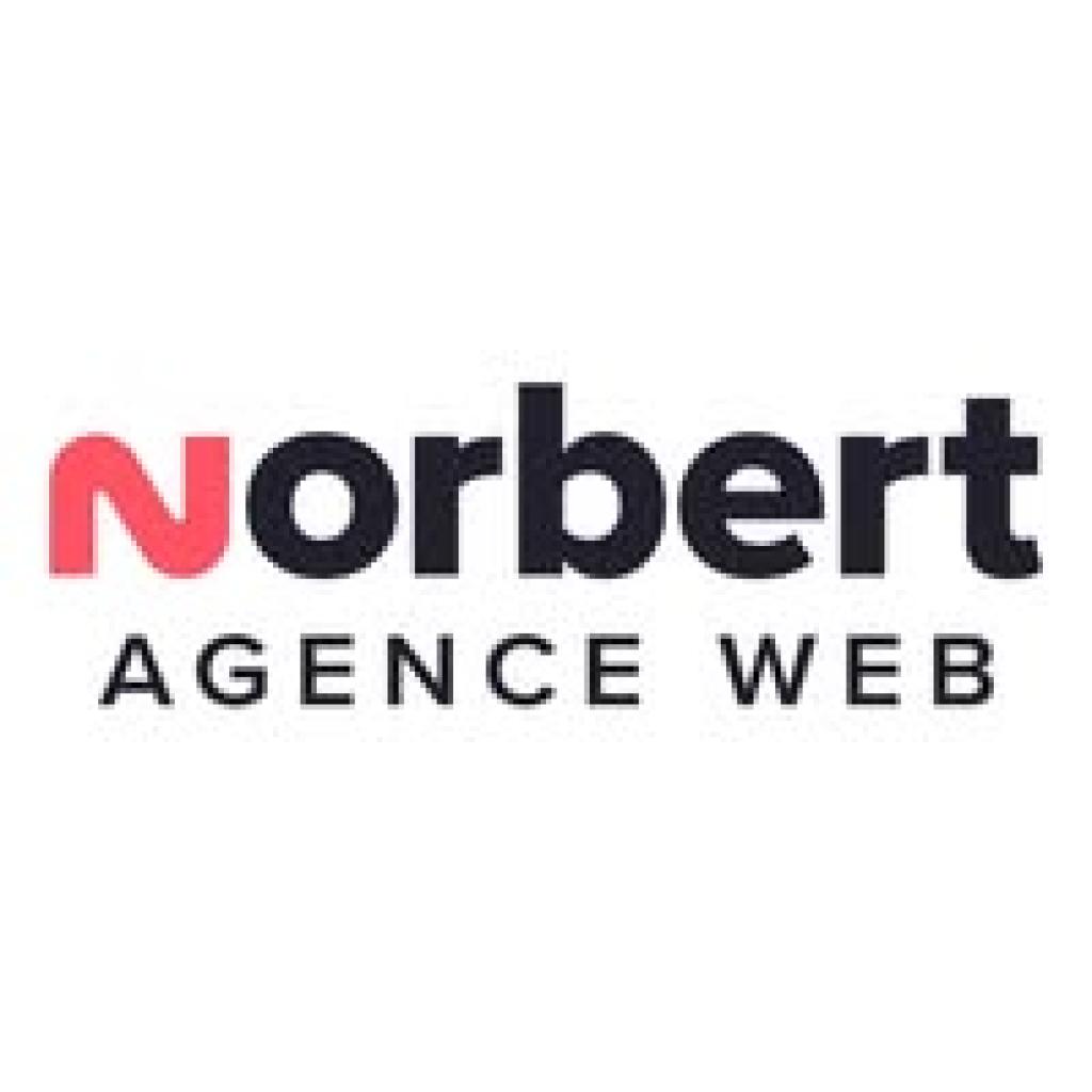 Logo agence Agence Web Norbert
