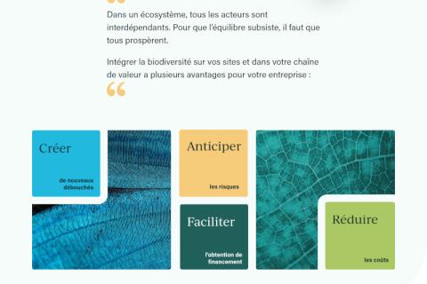 Illustration du projet Refonte du site Internet orientée conversions