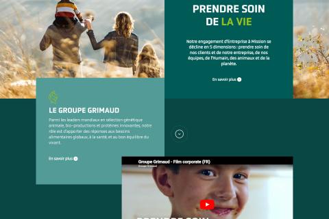 Illustration du projet Refonte complète des sites du groupe (site groupe et sites filiales) + stratégie de contenu