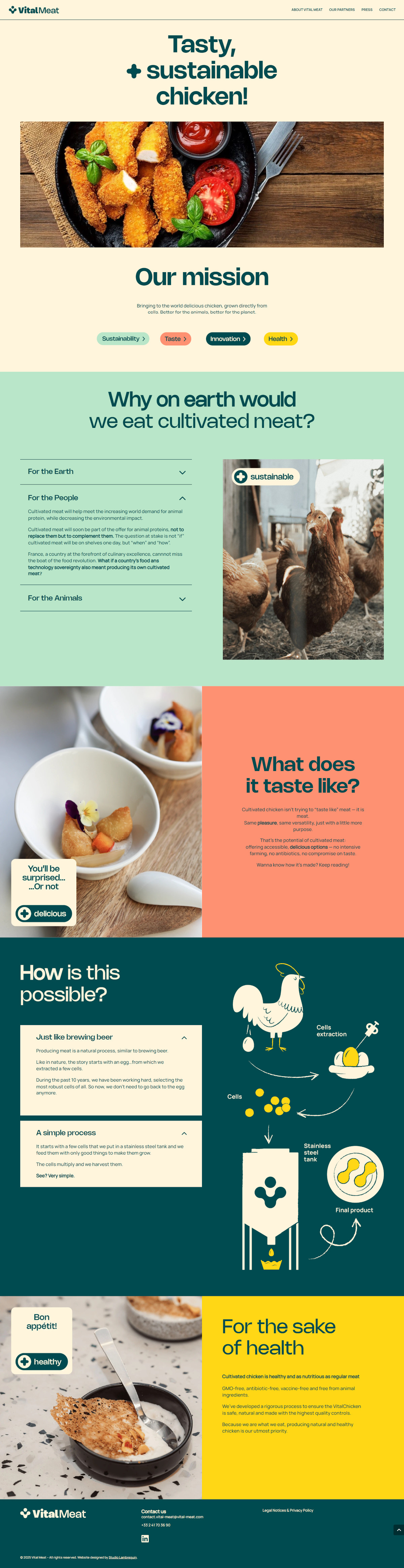 Illustration du projet Création du site Vitalmeat