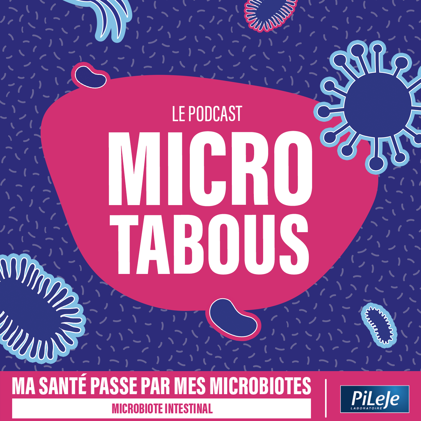 Illustration du projet Micro Tabous