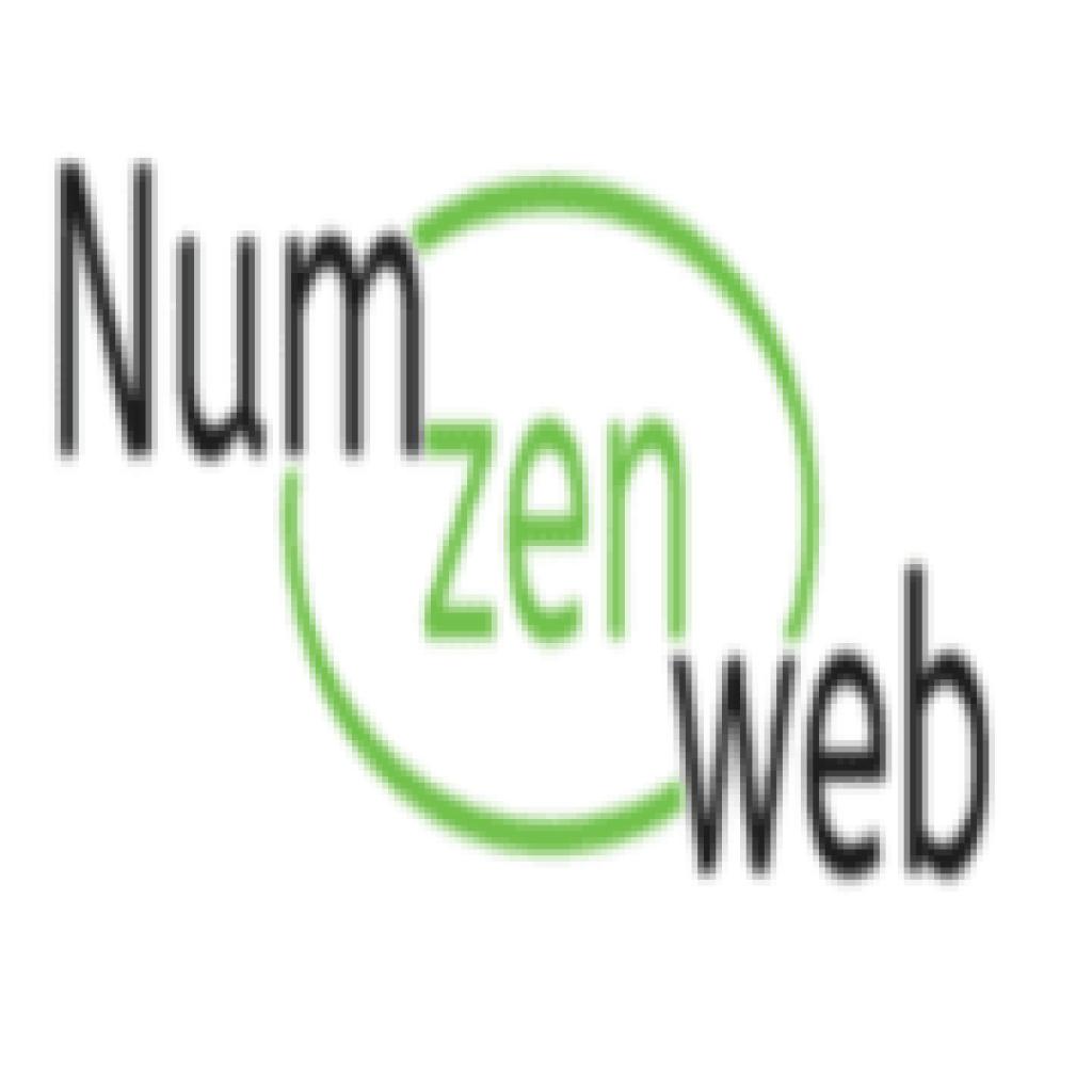 Logo agence NUMZEN WEB