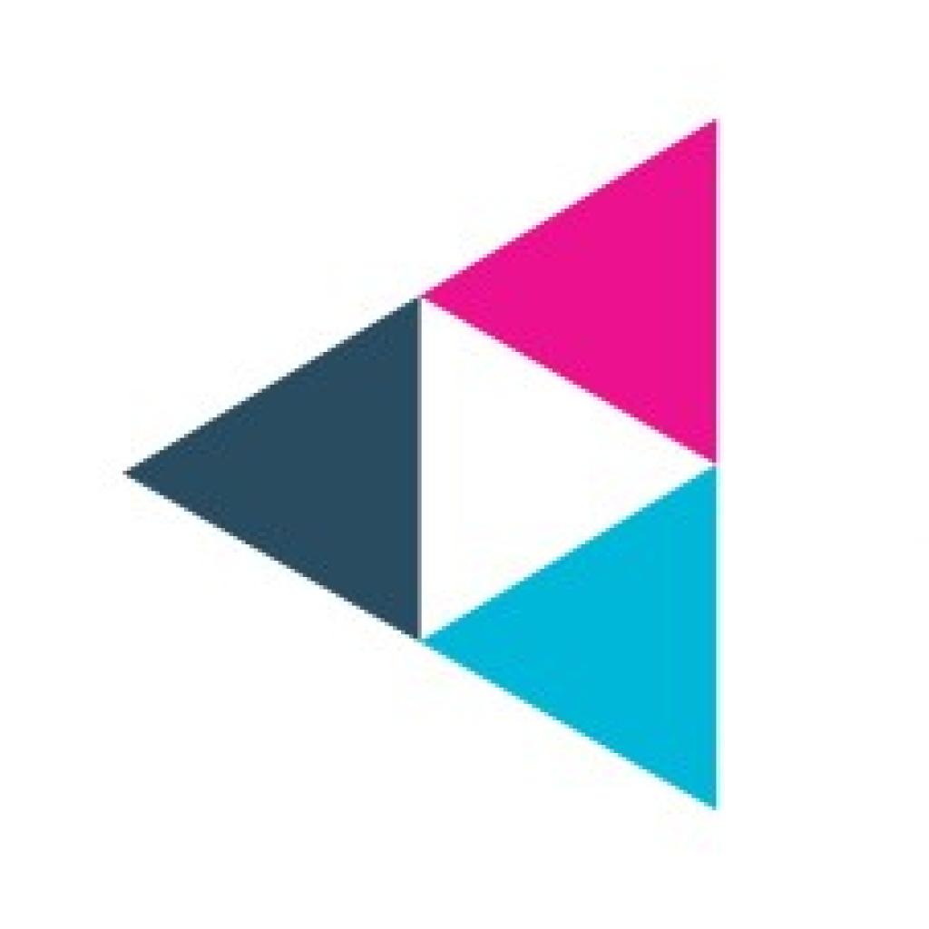Logo agence Game in Society